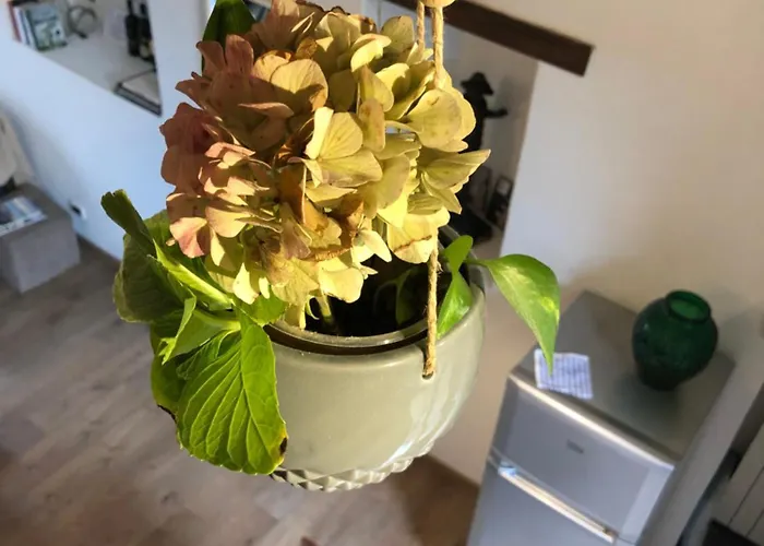 Piazza Vecchia Appartement