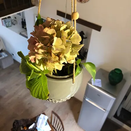 Piazza Vecchia Apartment